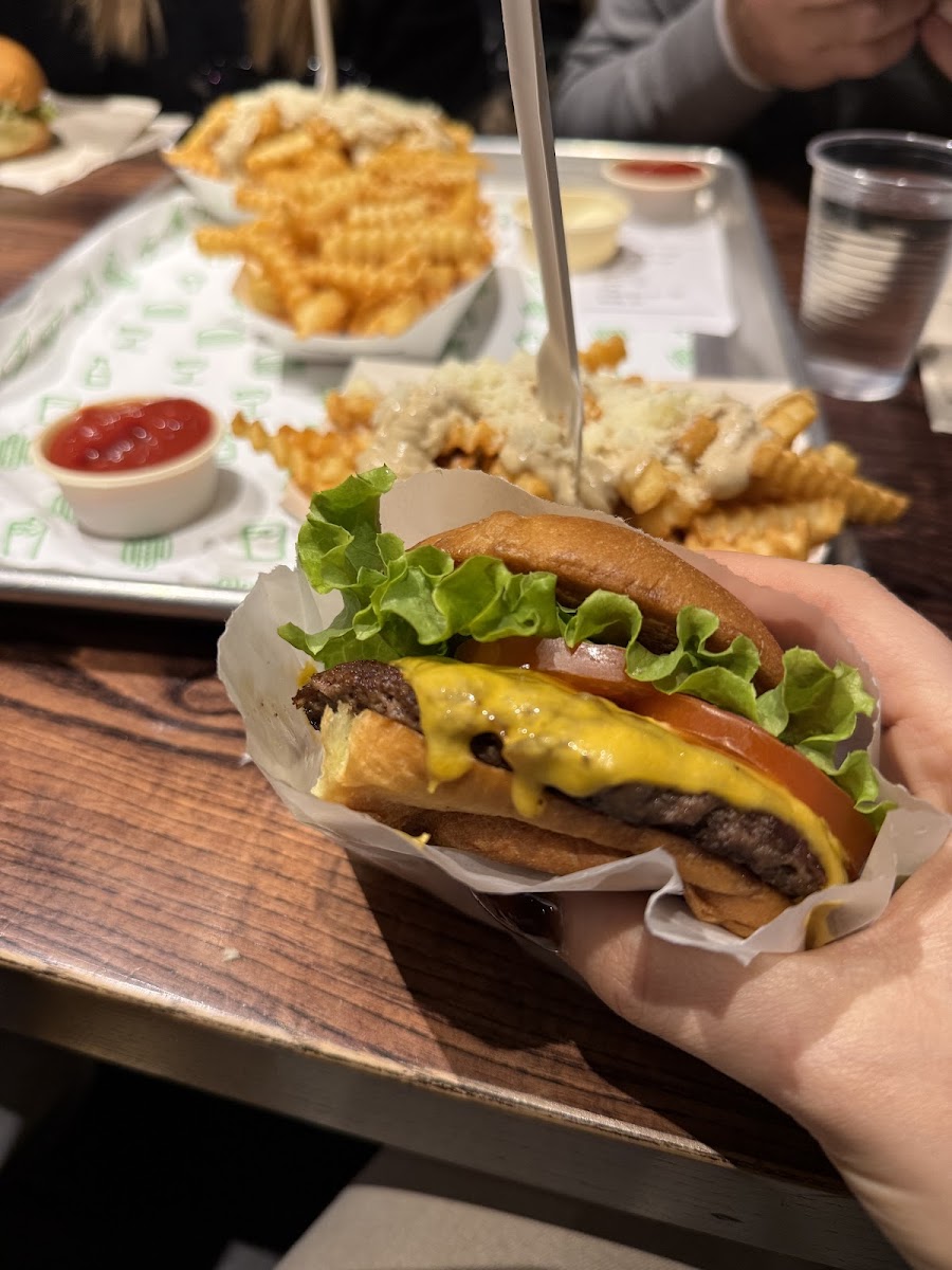 Shake Shack Clapham Photo 8