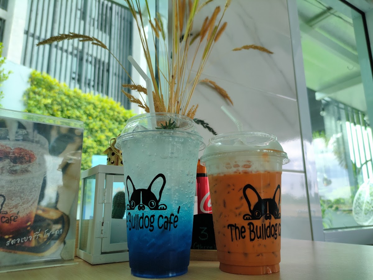 The Bull dog cafe Photo 6