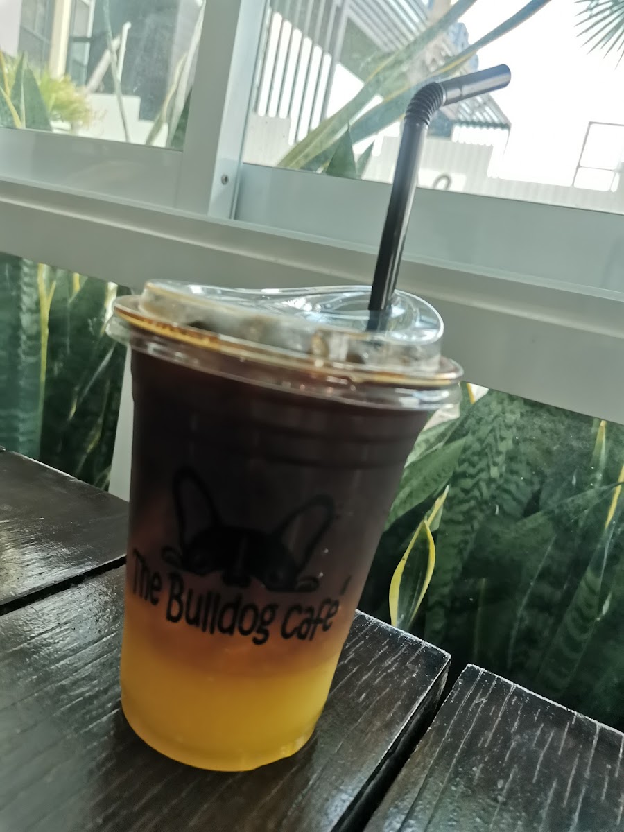 The Bull dog cafe Photo 8