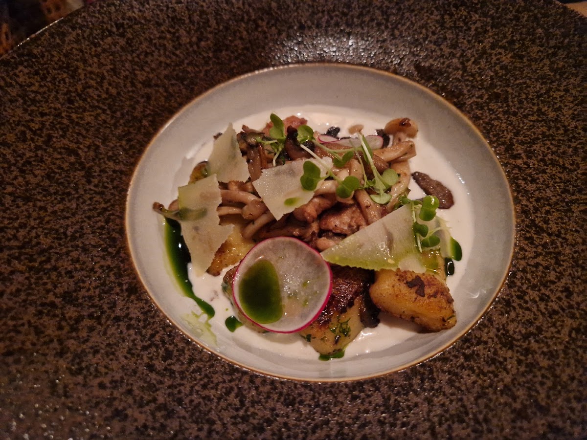 CHORA Mediterranean Restaurant & Bar Photo 8