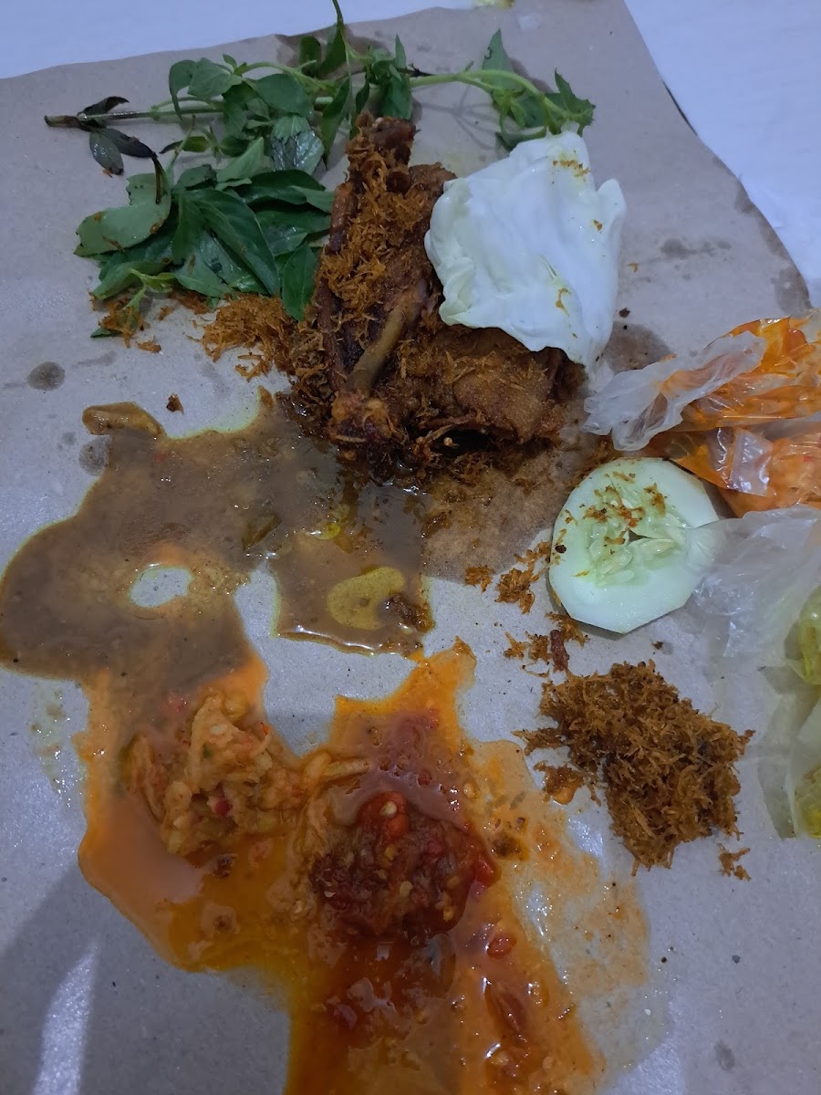 Bebek Purnama Rel Tulangan Photo 3