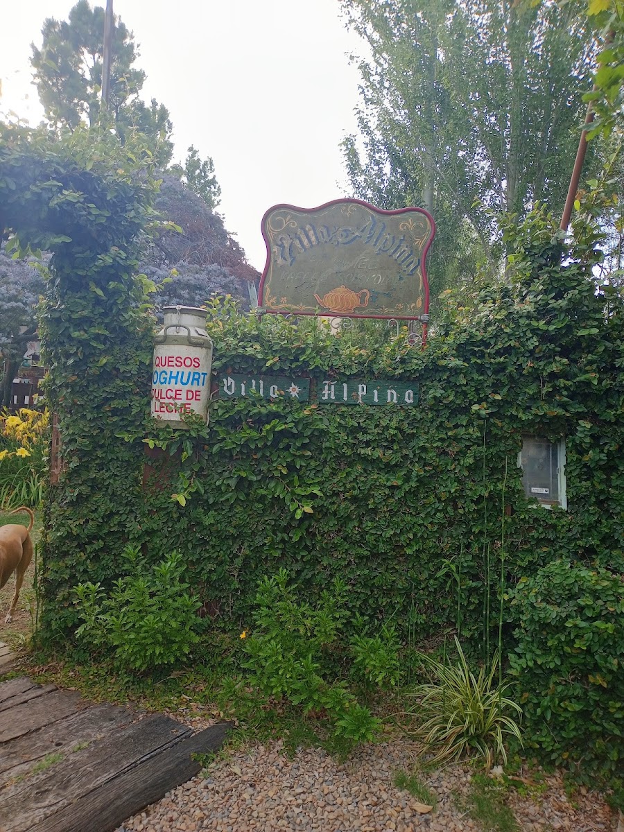 Villa Alpina Photo 4