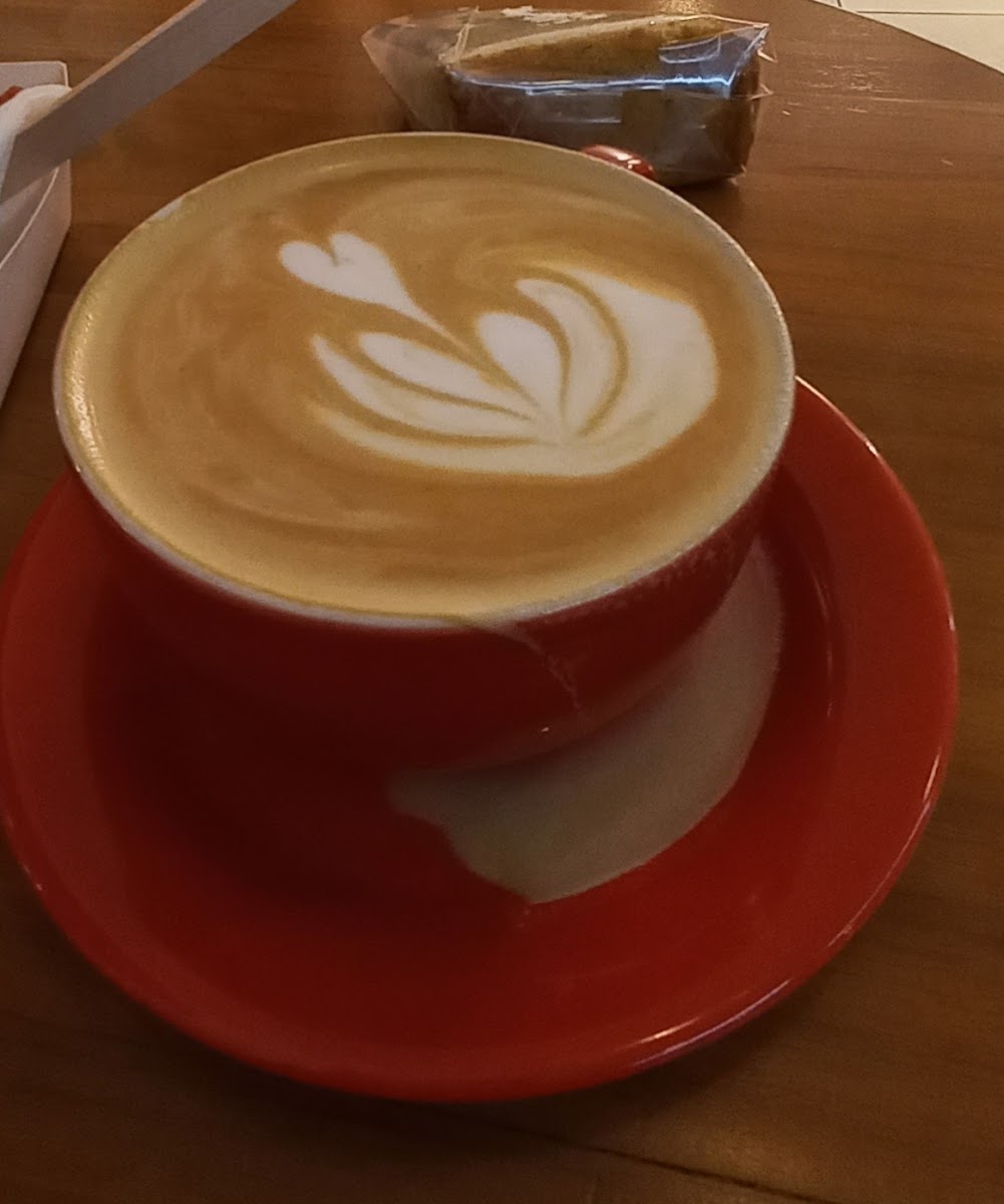 Ini Toko Kopi Photo 6
