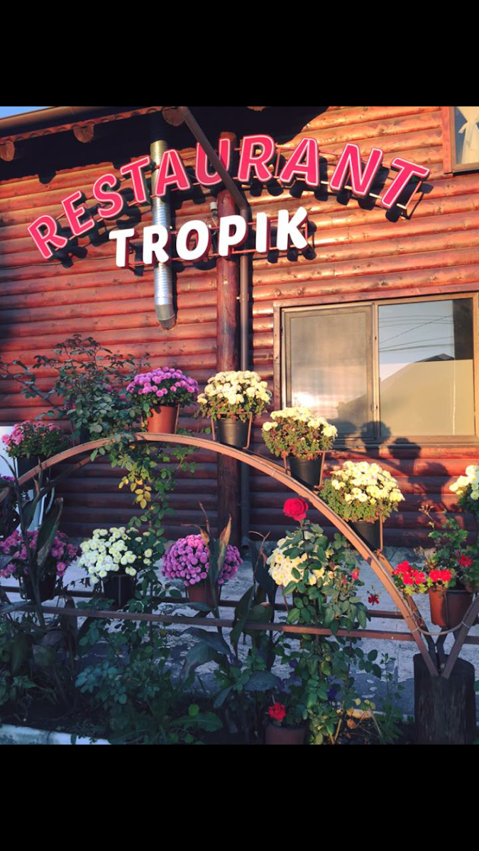 SC TROPIK BAR SRL Photo 4