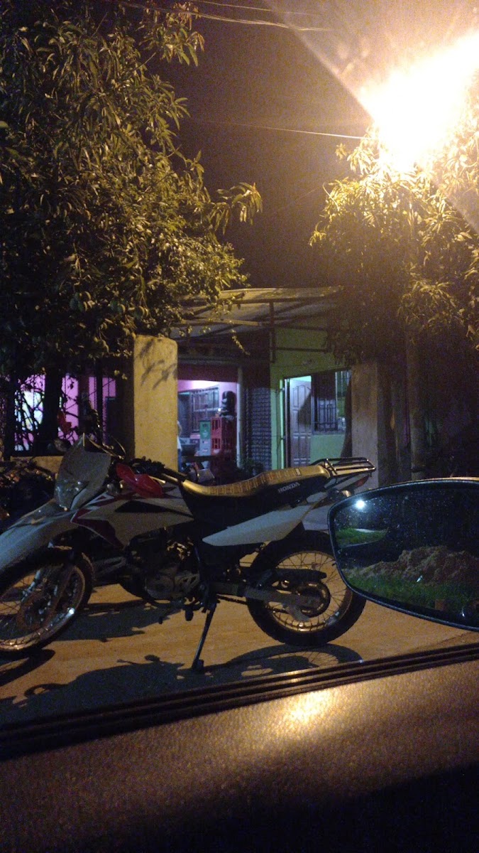 Rotiseria la Gringa