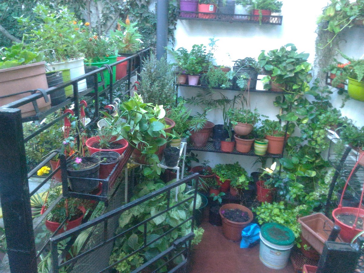 Casa de Comidas Ely