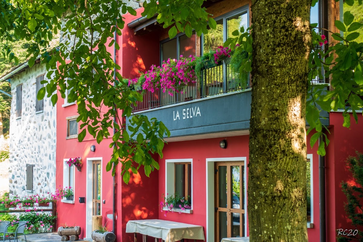 Agriturismo La Selva