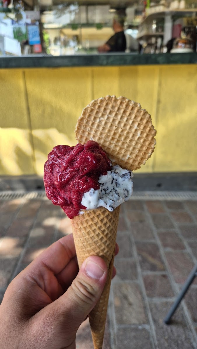 Slurp Gelateria baracchina