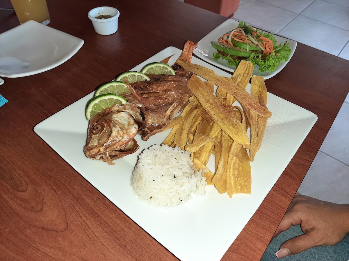 Piscinas Campo Alegre