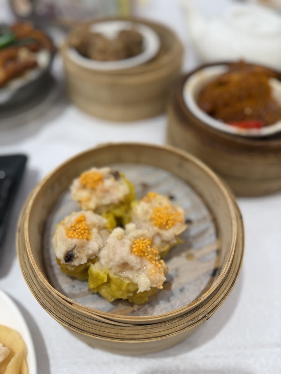 Ho Yin Palace Photo 2