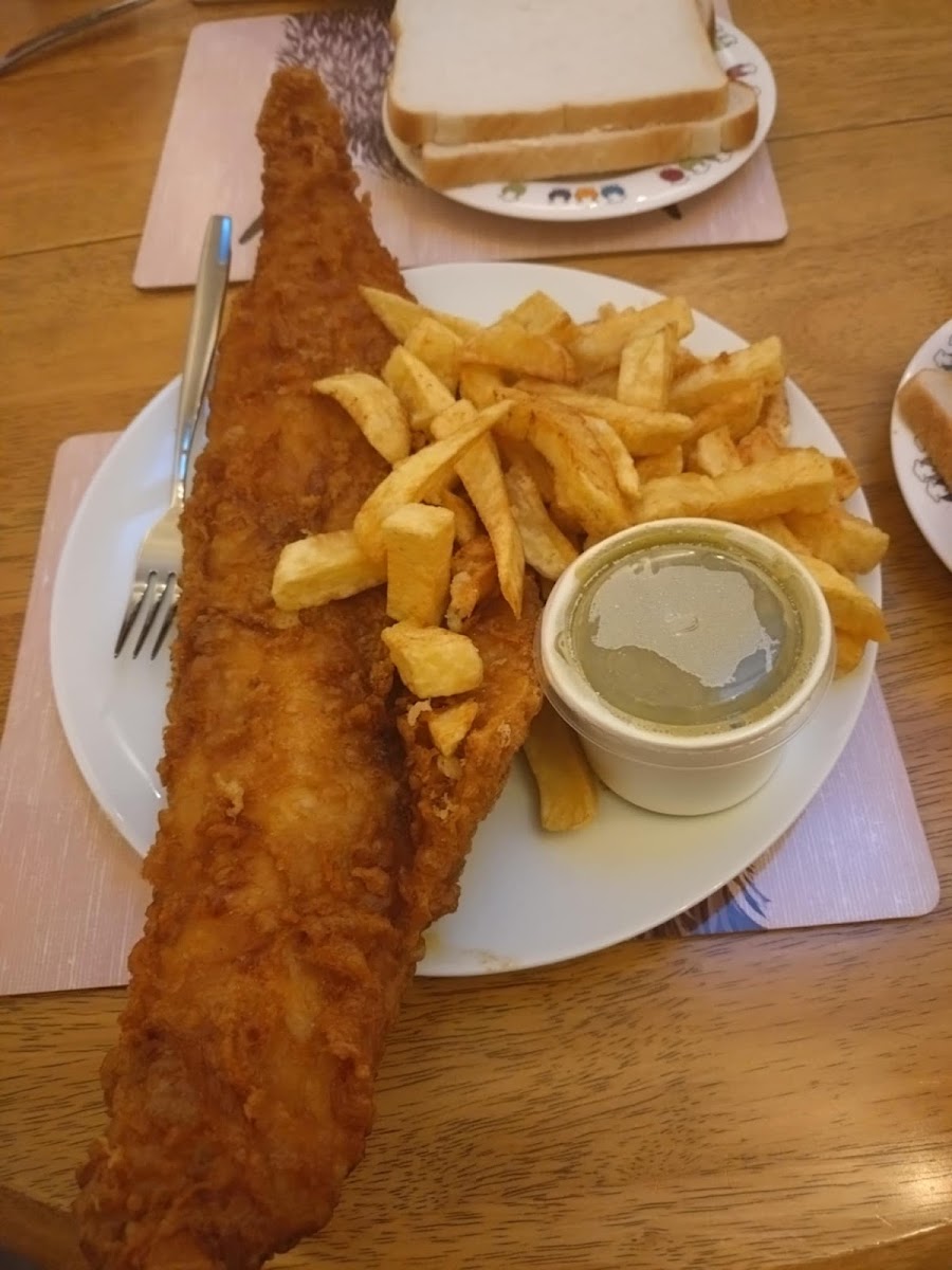 THOMPSON'S Traditional Fish & Chips Photo 2