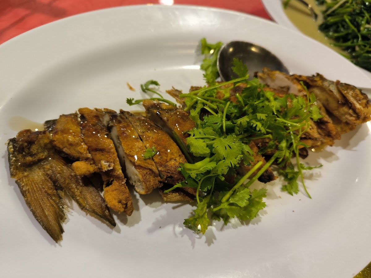 Village Chicken Restaurant PLT Photo 6
