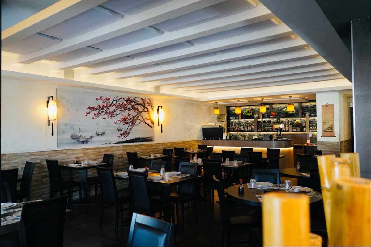 Ristorante Cinese EUROCINA Photo 4