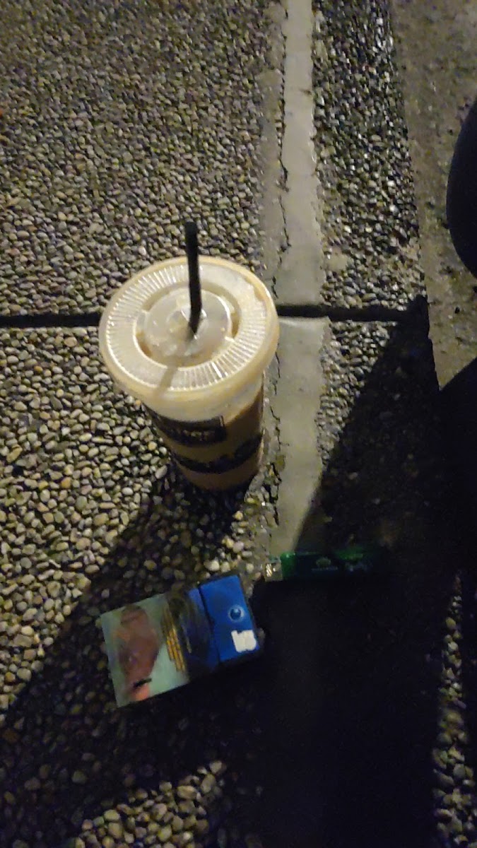 Coffeebreak MANDURRIAO Official Photo 9