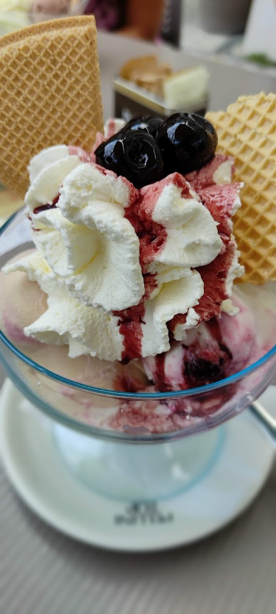 Gelateria Bar Da Gino Photo 7