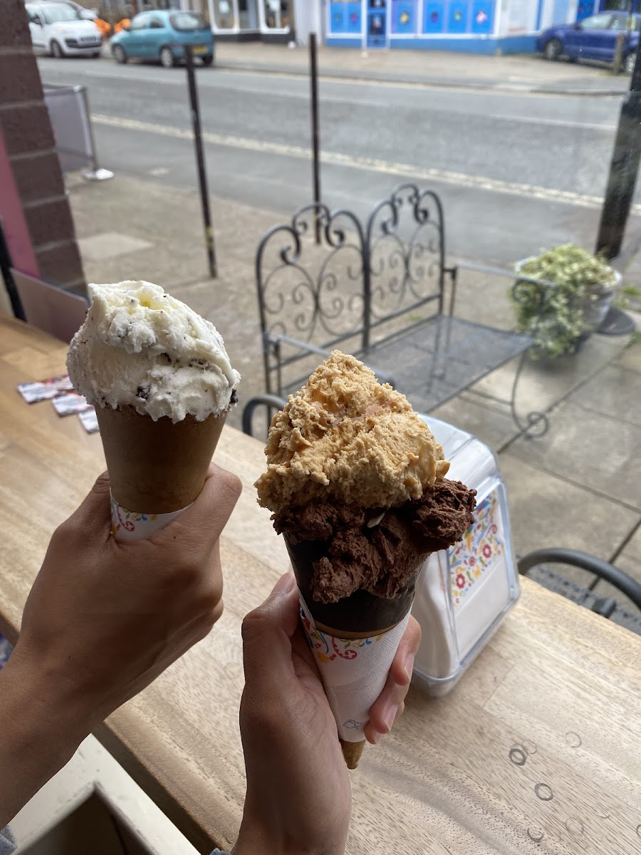Vanilli's Artisan Ice Cream Photo 4