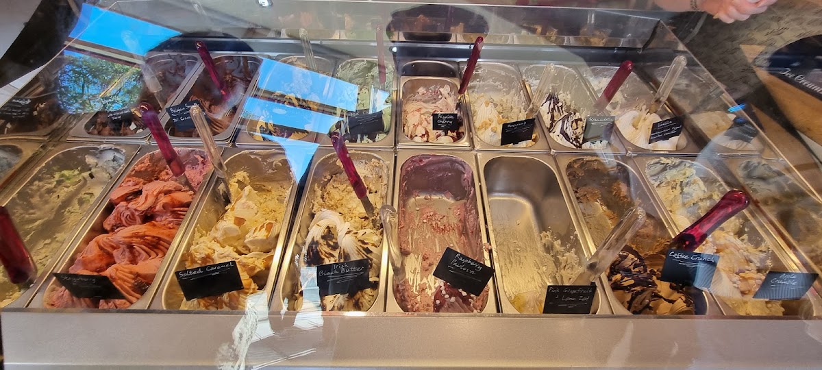 Vanilli's Artisan Ice Cream Photo 6