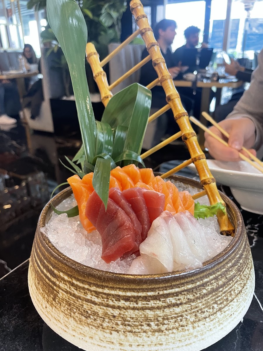 SUSHI STAR Photo 7