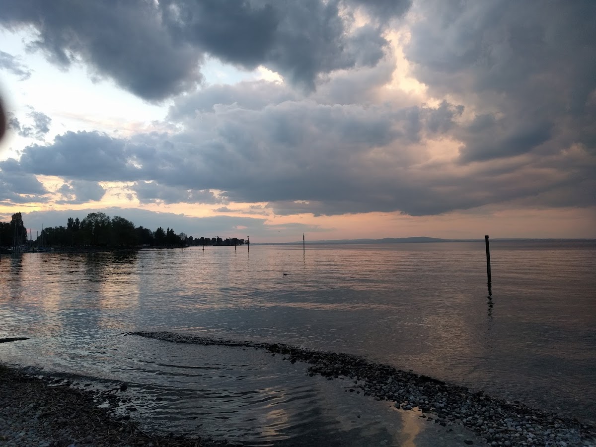 Conny's Hafenbeizli Photo 4