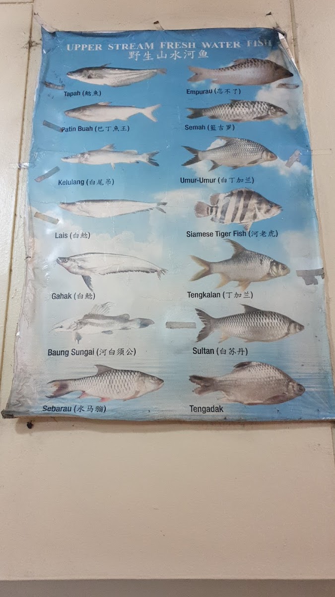 腋生河鲜酒楼 Restoran Yik Sang Photo Menu 1