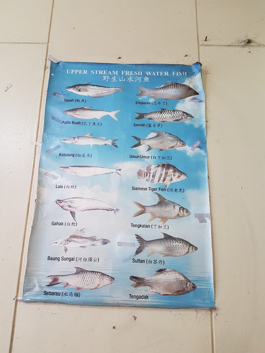 腋生河鲜酒楼 Restoran Yik Sang Photo Menu 4