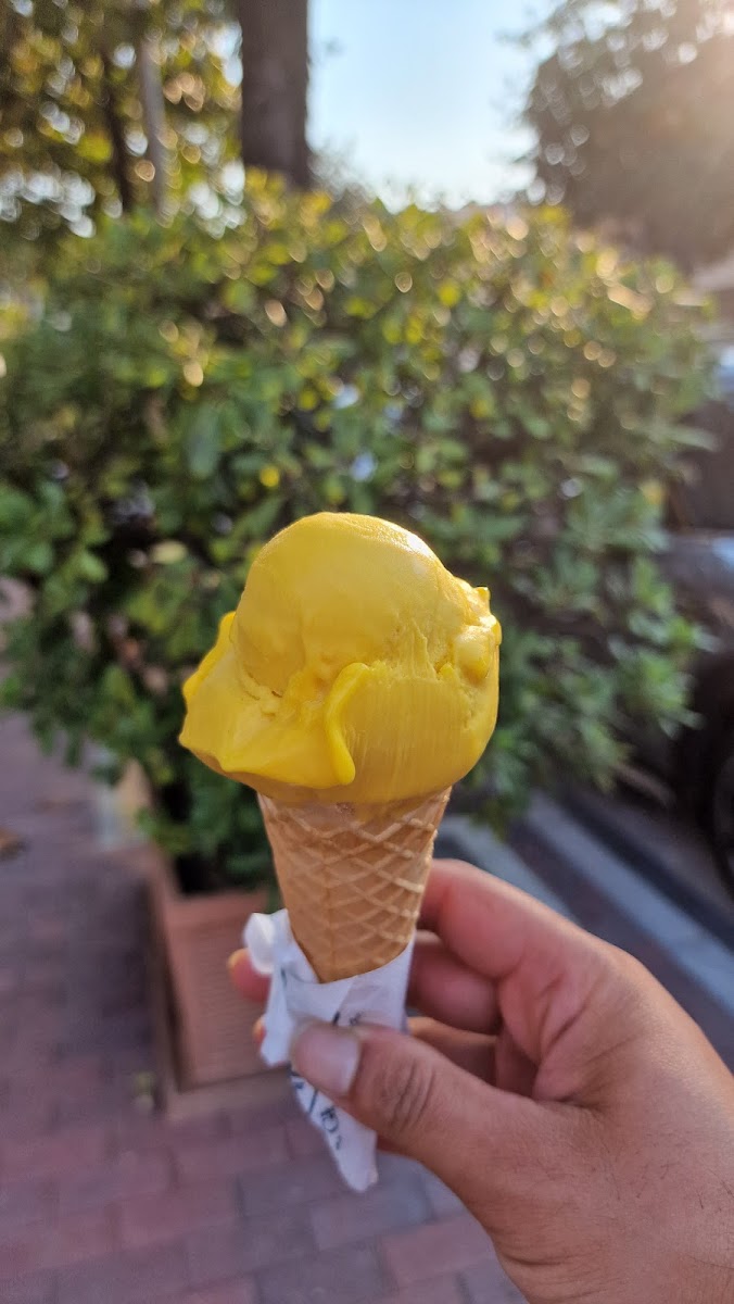 Gelateria Luna Udine Photo 8