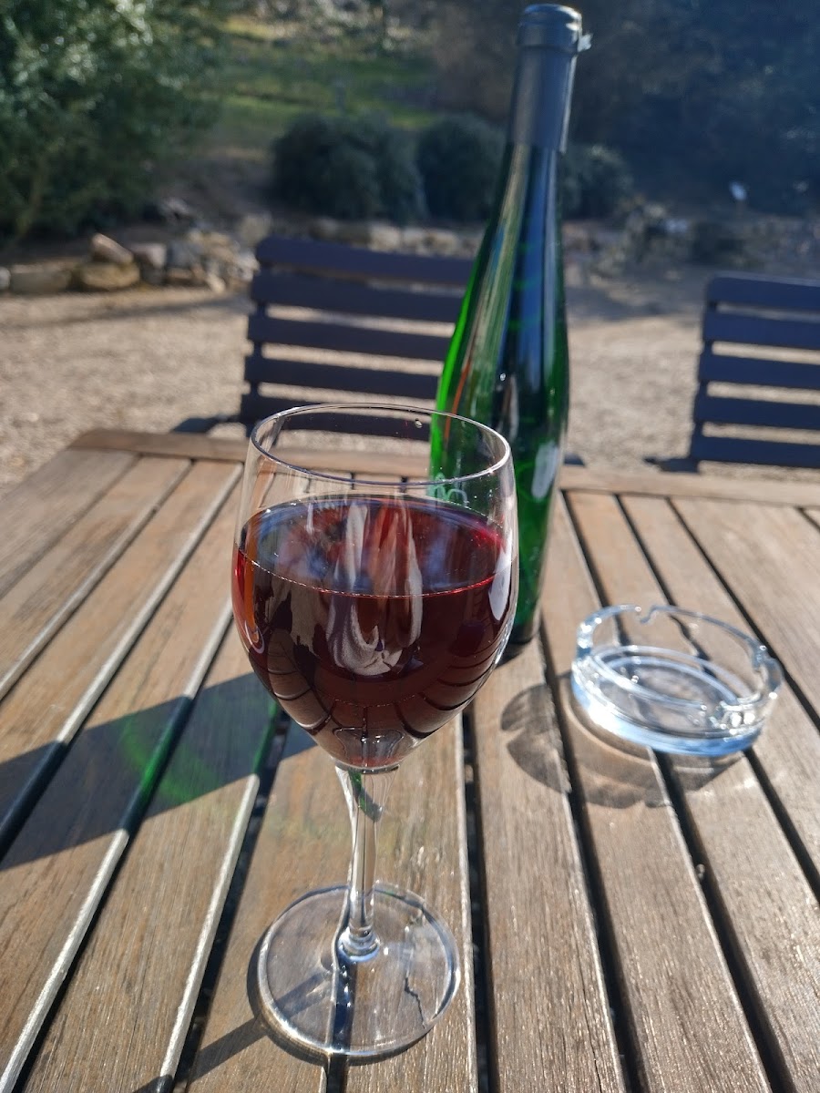 Annettes Gastronomie im Schloss Heiligenberg Photo 10