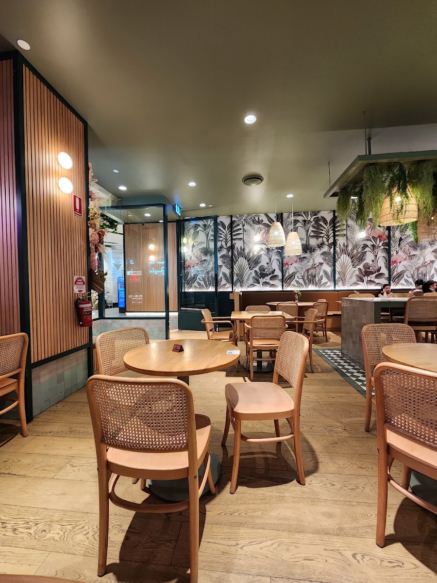 Urban Jungle Cafe