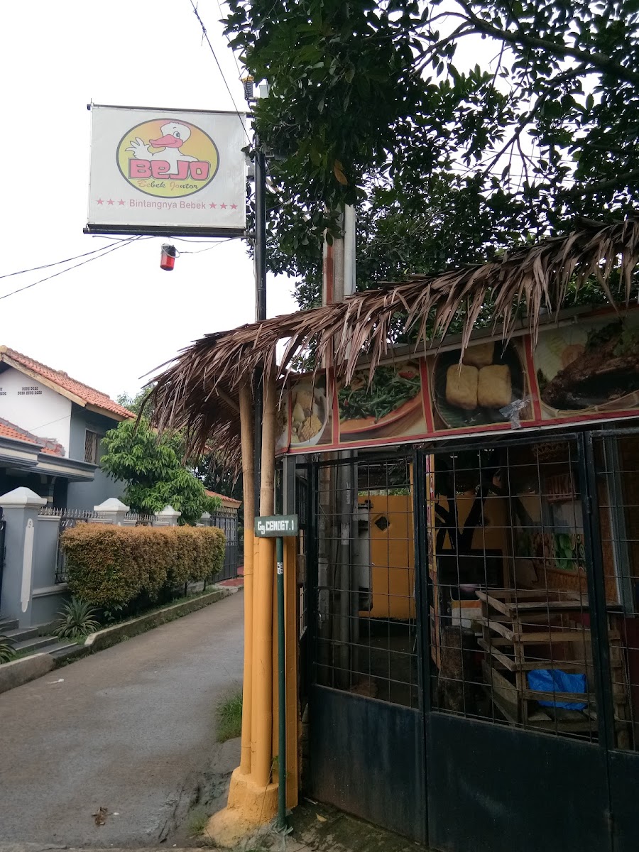 Bejo bebeku meroati 3