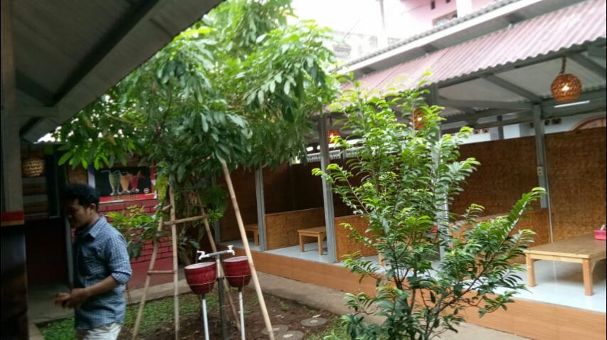 Bejo bebeku meroati 3 Photo 4