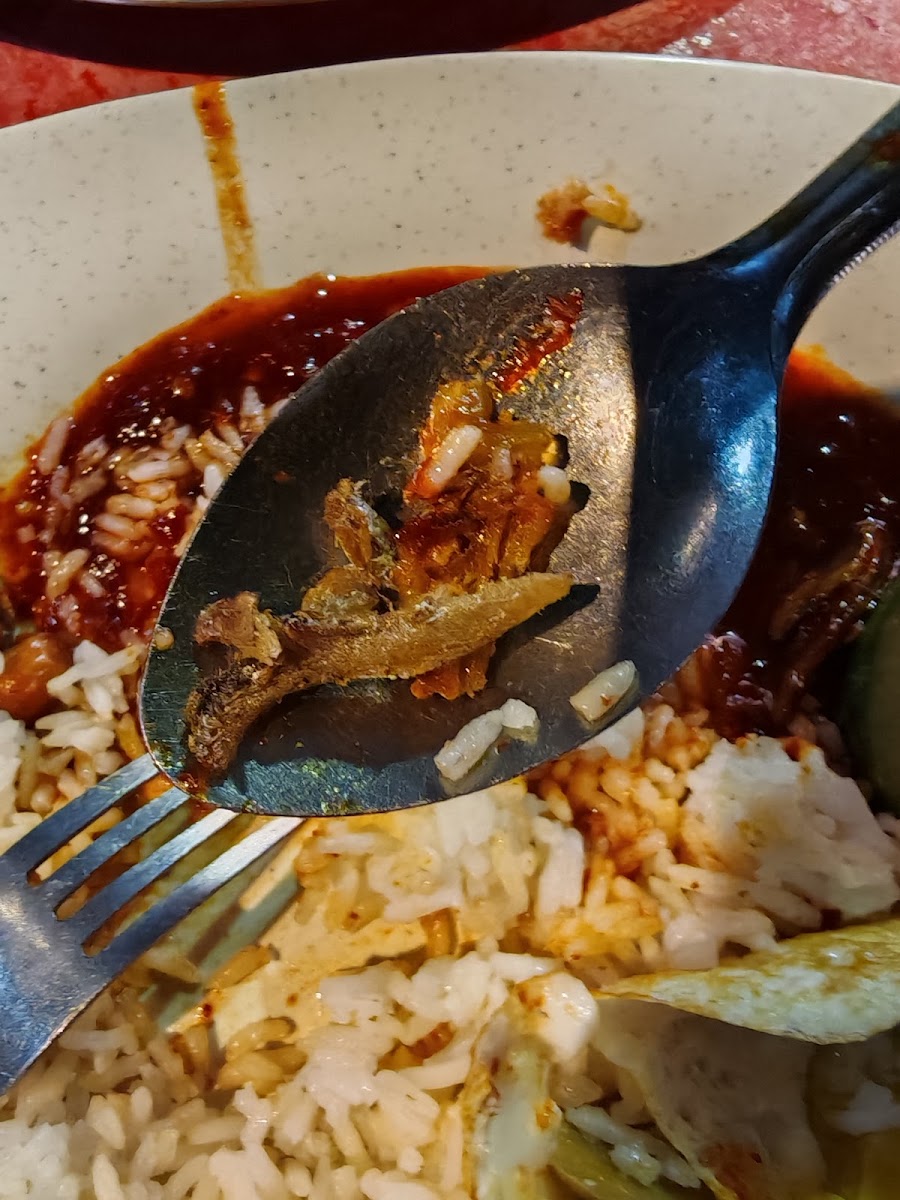 Restaurant Gading Nasi Kandar Photo 8