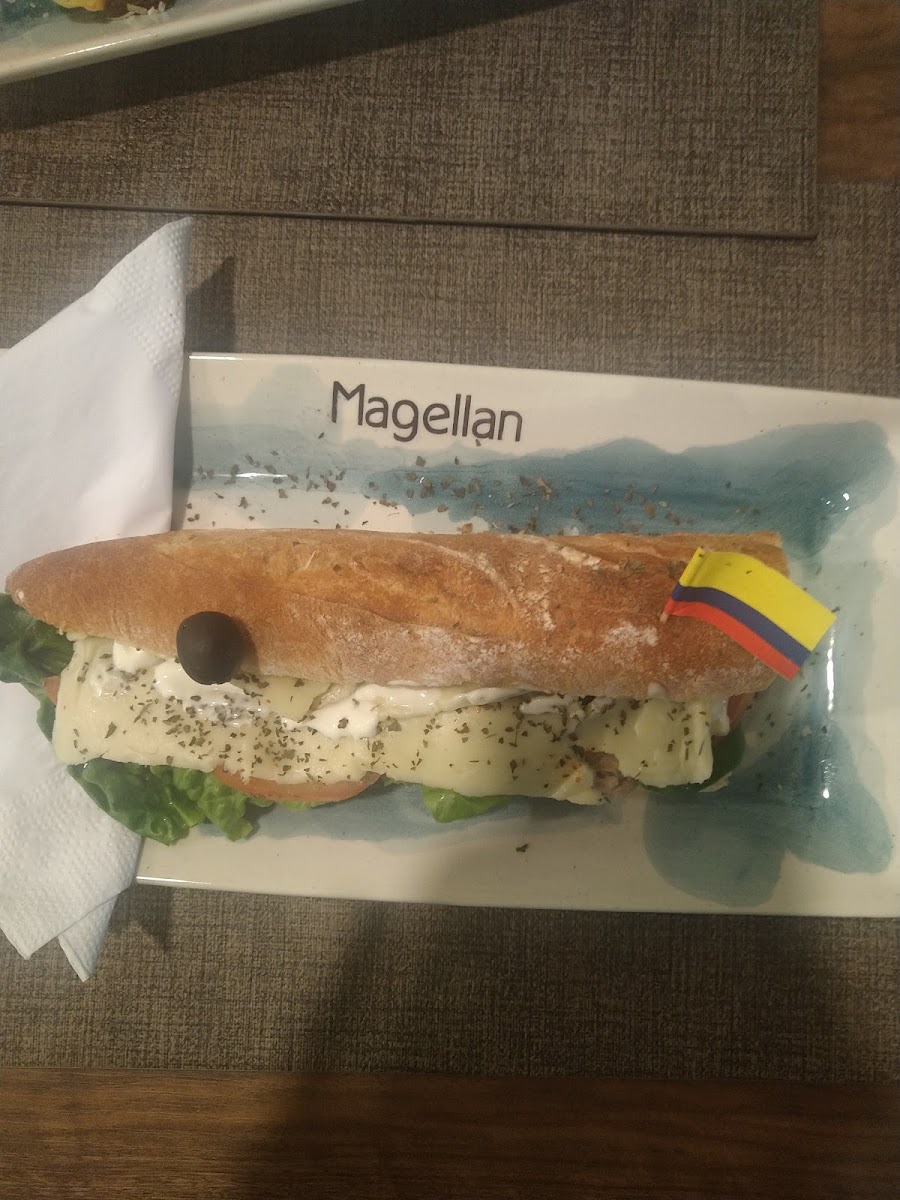 Magellan Laboratory Photo 7