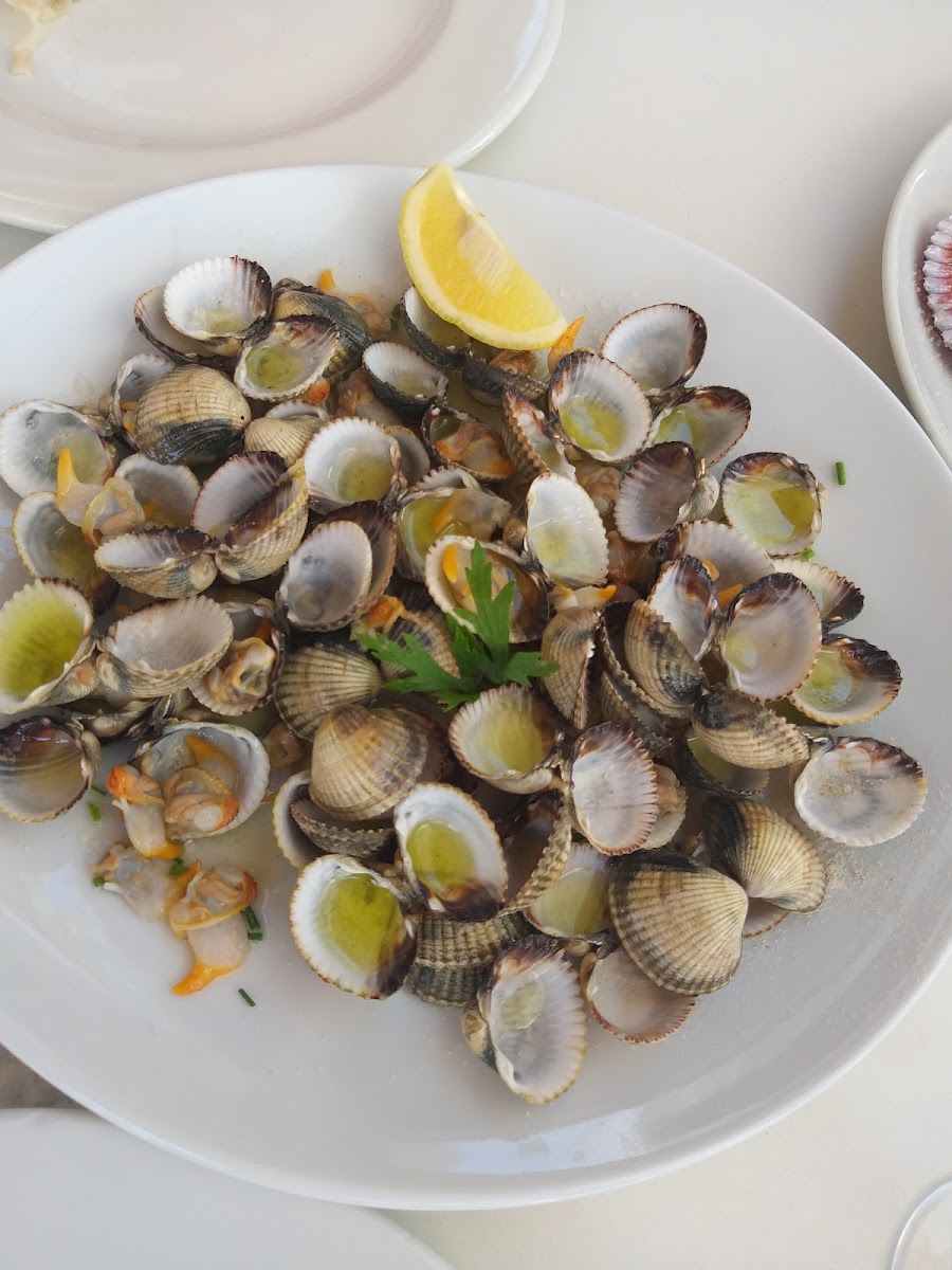 La Llotja Marisqueria Photo 7