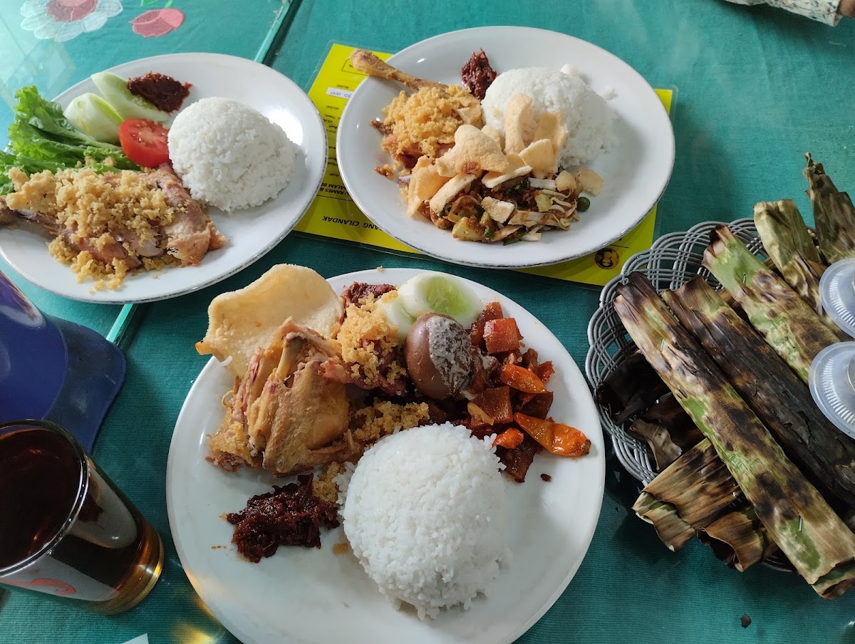 Ayam Goreng Suharti Ragunan Photo 4