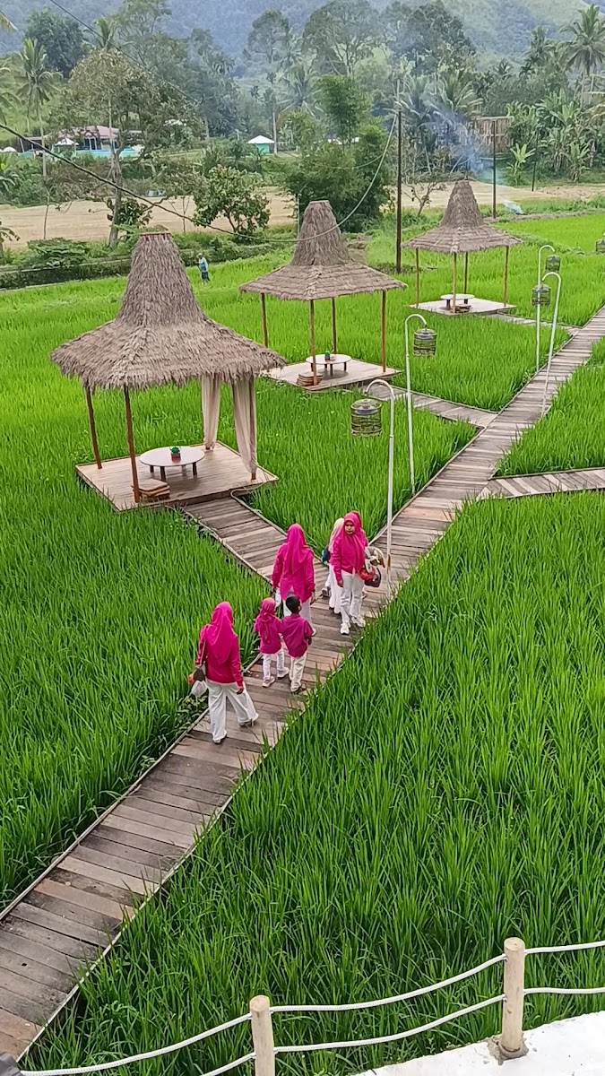 Sawah View Payakumbuh Photo 2