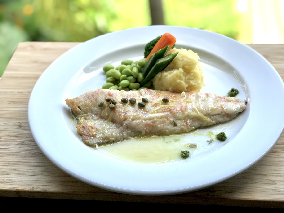 Red Snapper Photo 10