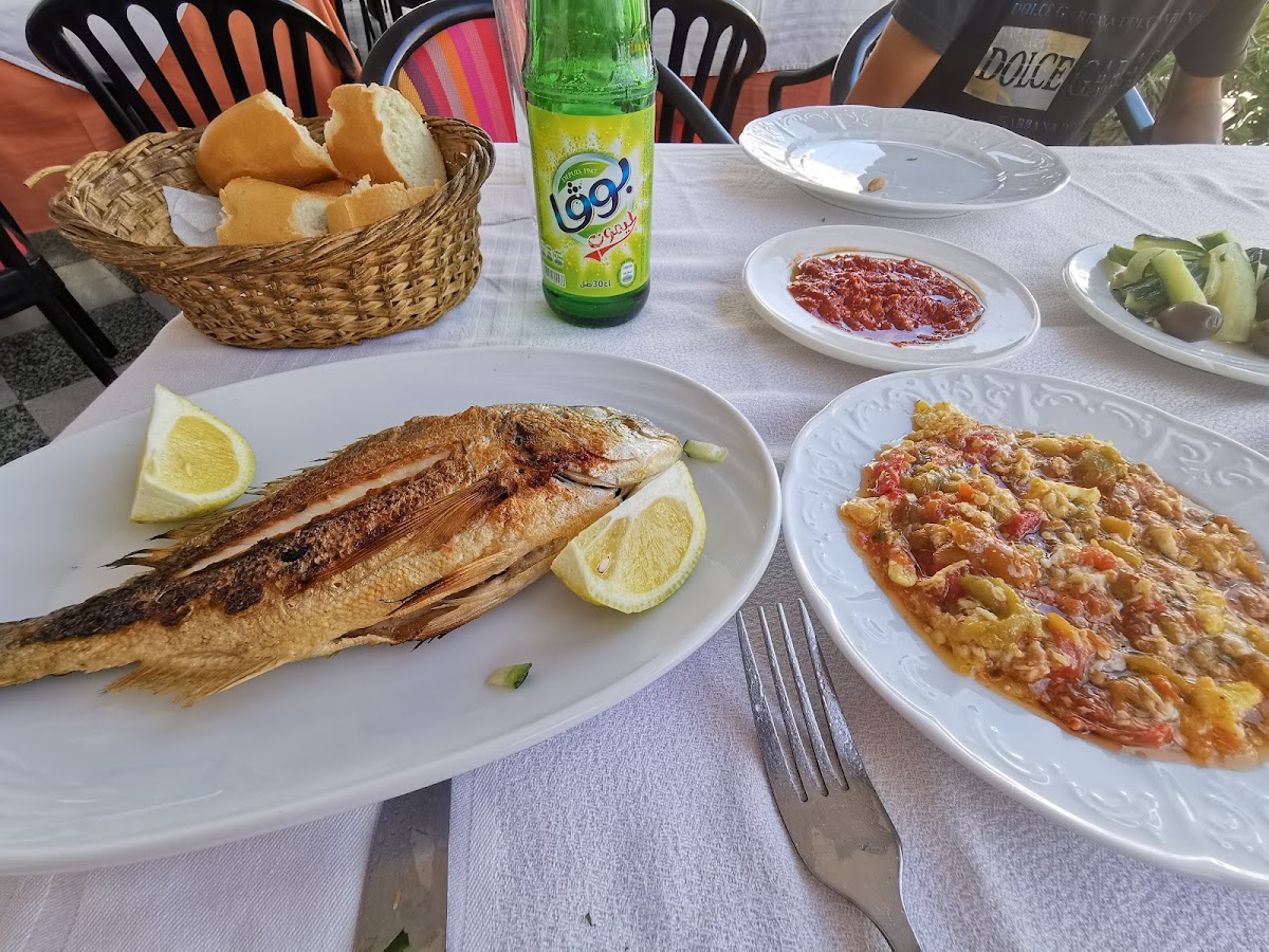 Restaurant VENUS La Goulette Photo 9