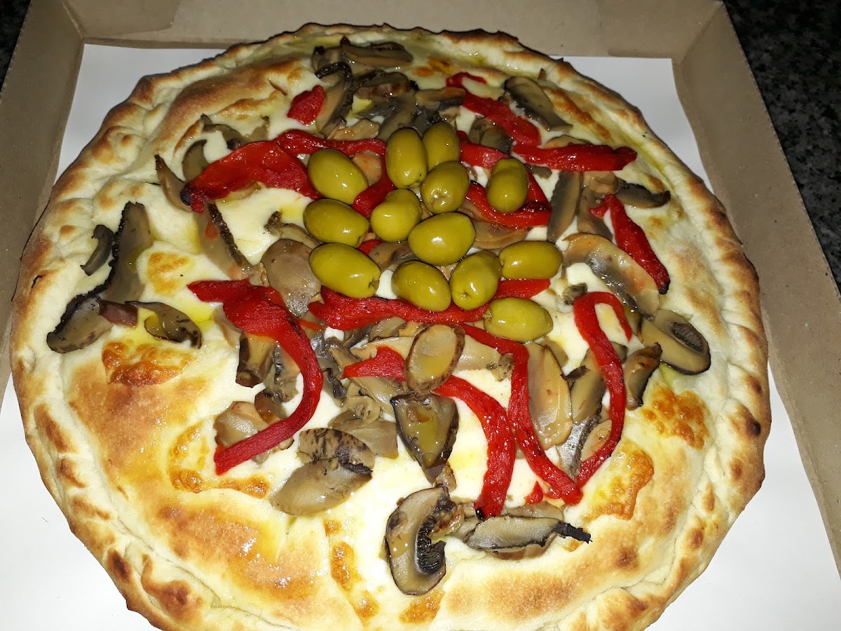 Avanti Tigre Photo 7