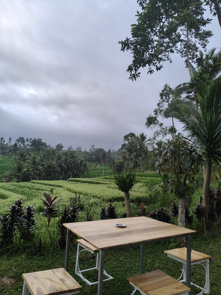 Alam Kopi Bali