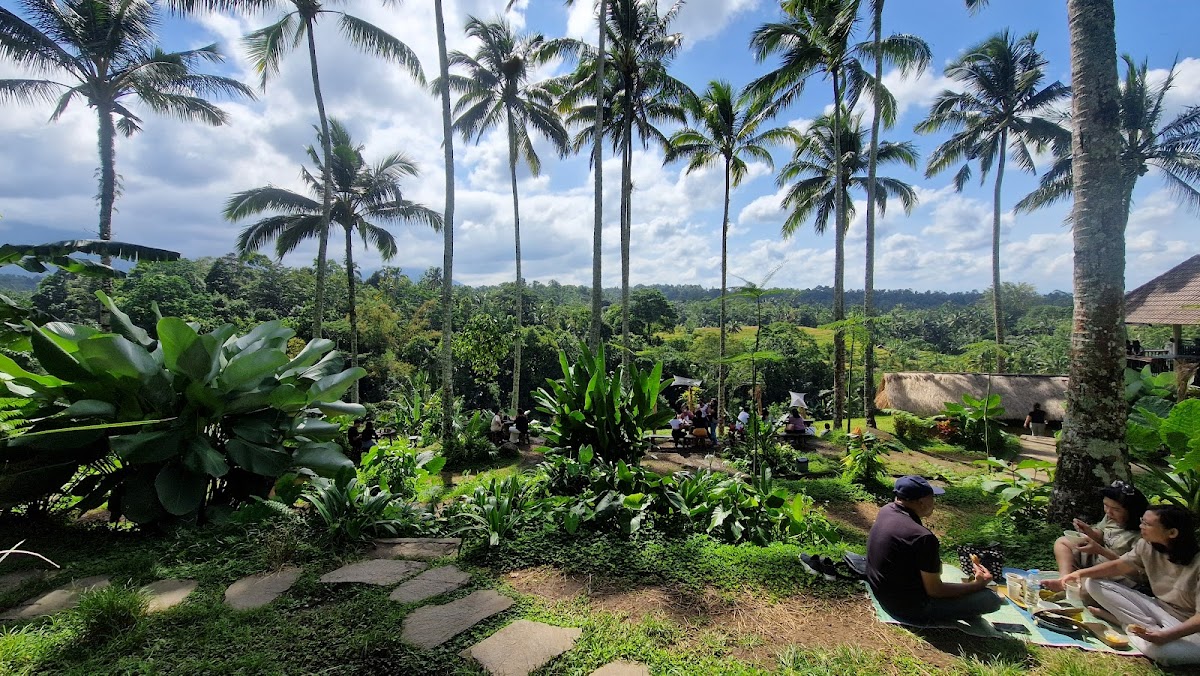 Alam Kopi Bali Photo 4