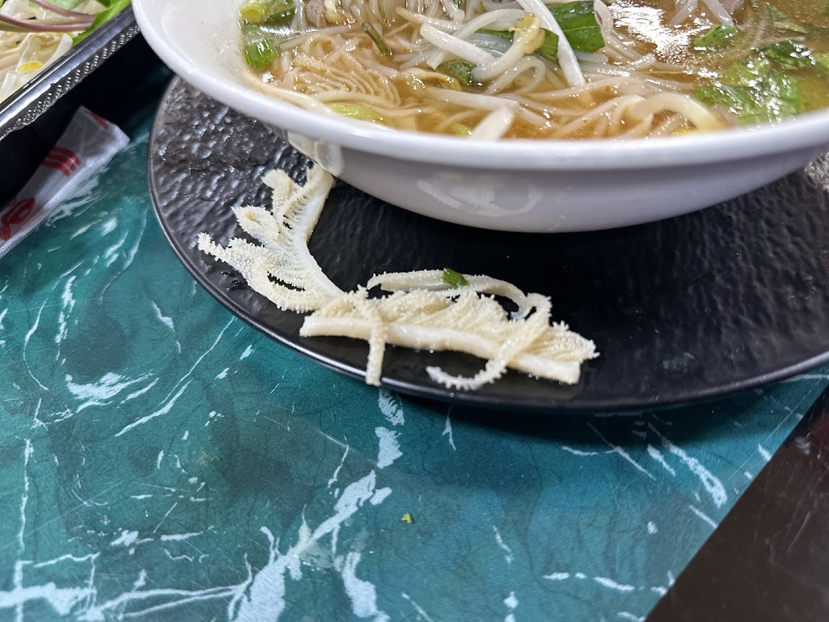 Pho Tai Photo 5