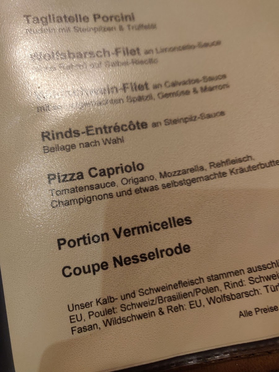 Altstadt Pizzeria zur Mühle Photo Menu 4