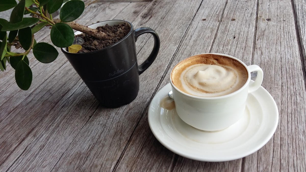PJ Coffeetime Photo 8