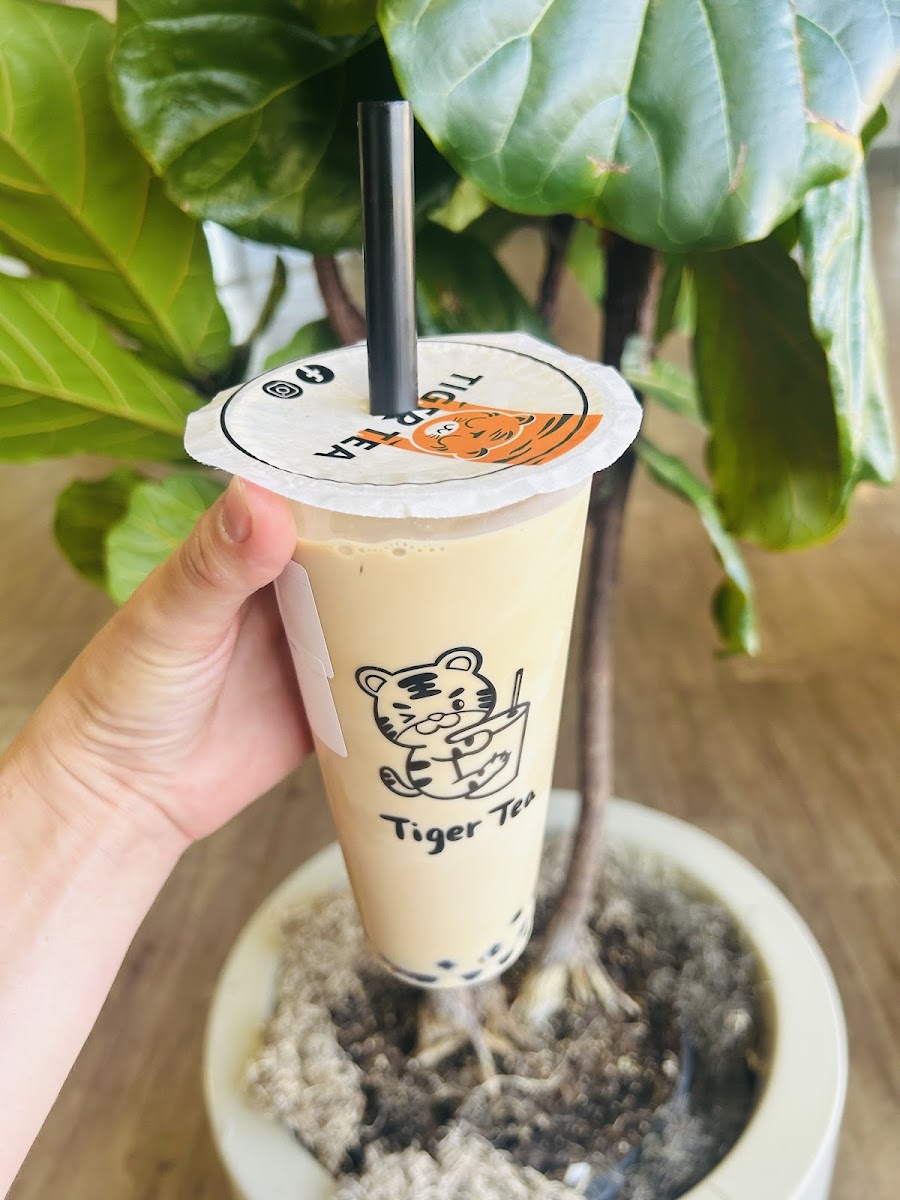 Tiger Tea Photo 8