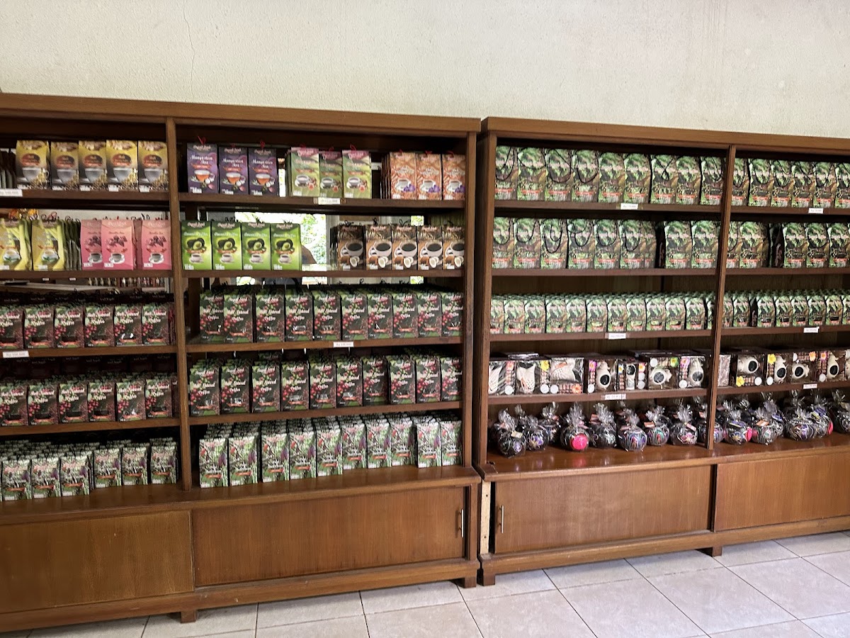 Tegal Sari Luwak coffee