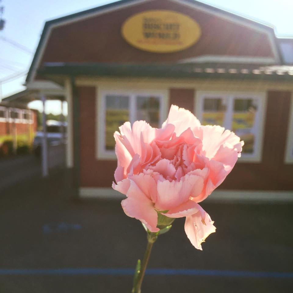 Tudor's Biscuit World Photo 8