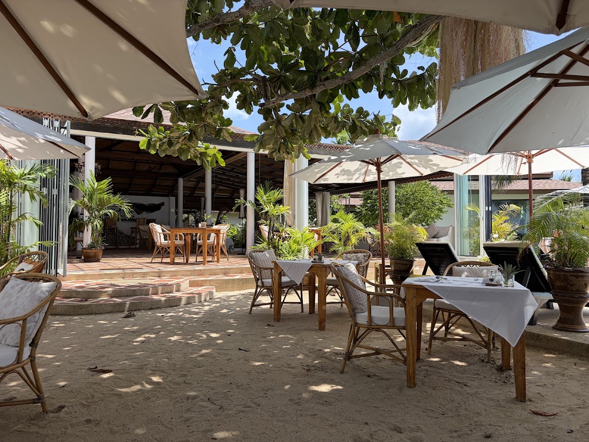 Palm Beach Restaurant - Adult only