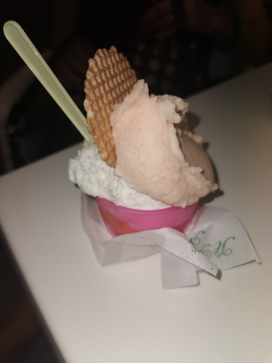 Gelateria pinguino Photo 10