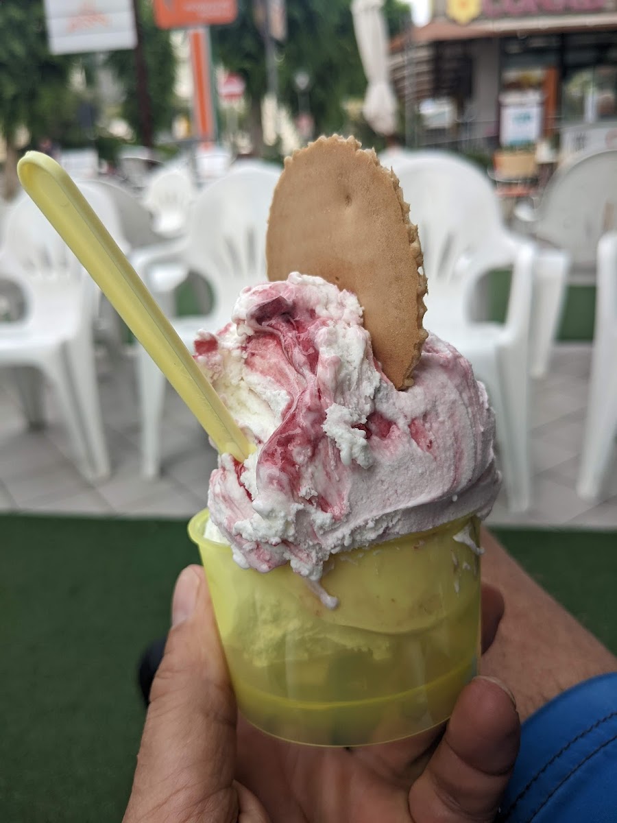 Gelateria pinguino Photo 7