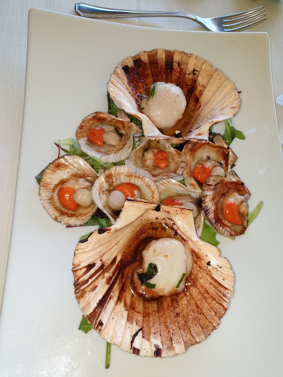 Ristorante Faro Piave Photo 10